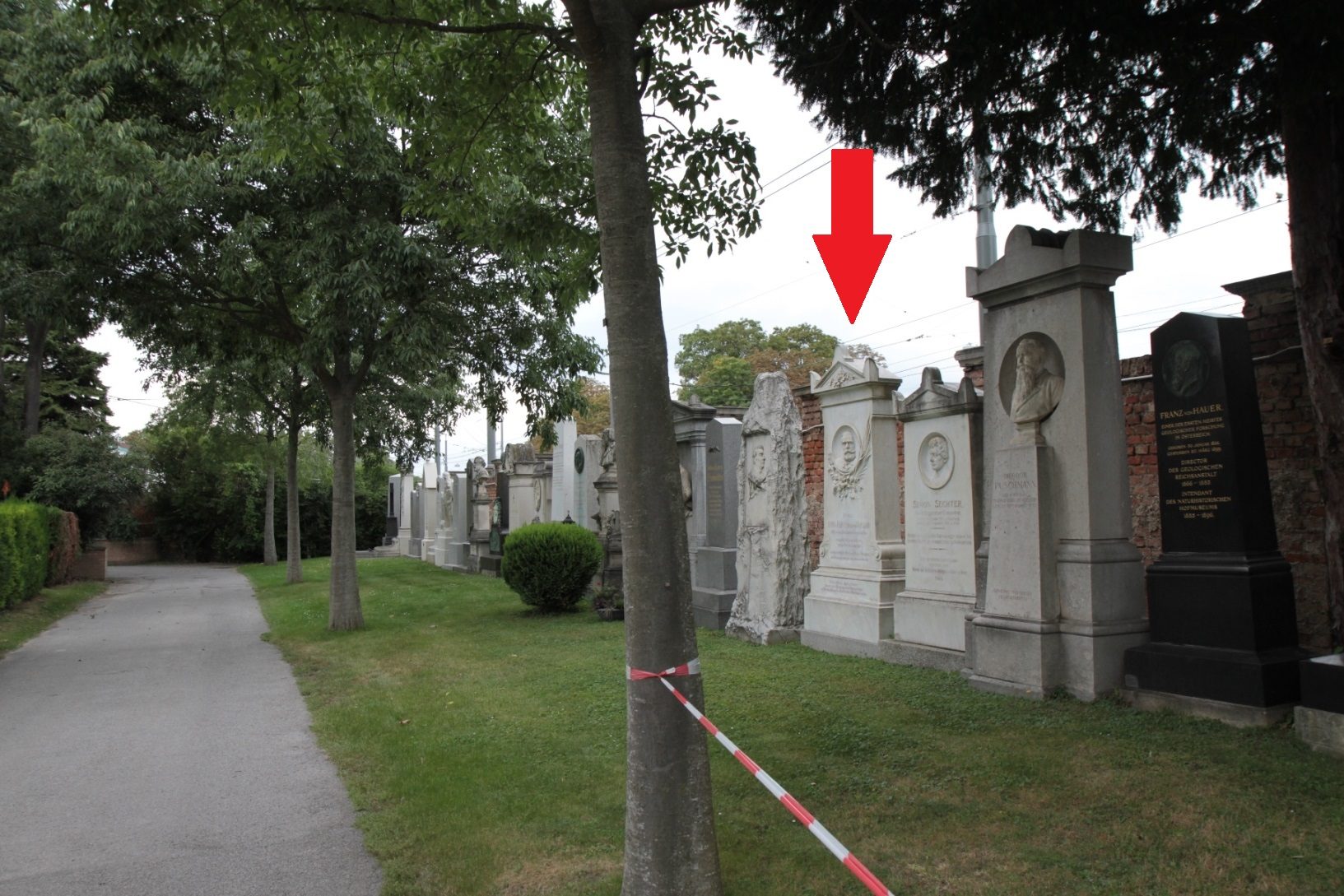 Anton Kerner von Marilaun's tomb, Vienna - 01.JPG
